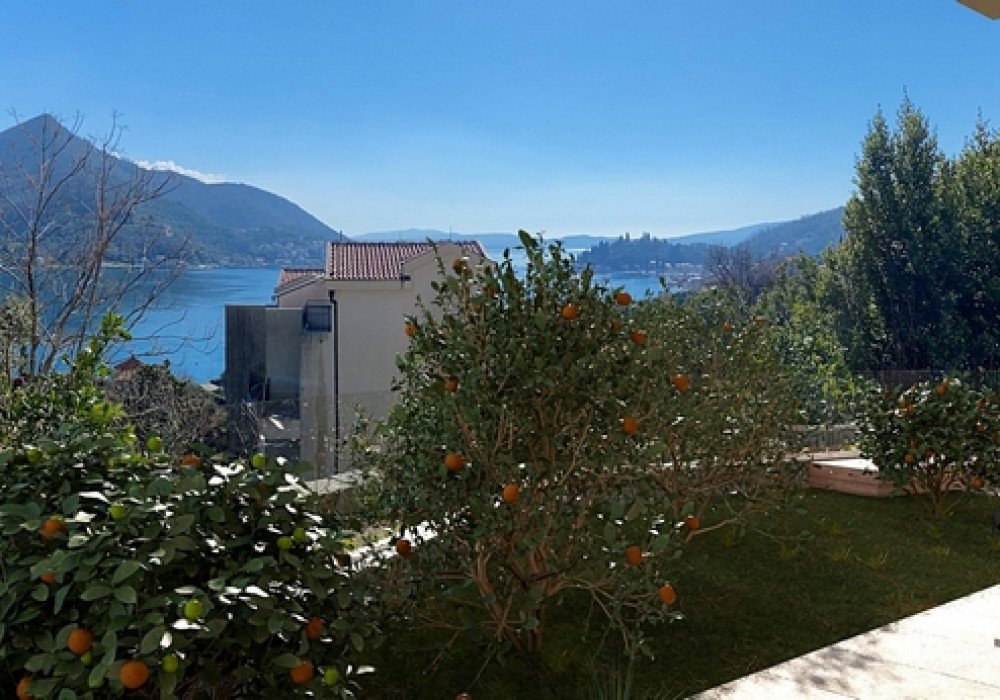 Boka Bay of Kotor, Kamenari district. New apartments in a club-type apartment building.
The distance to the sea is 300m.

The house has four floors, a